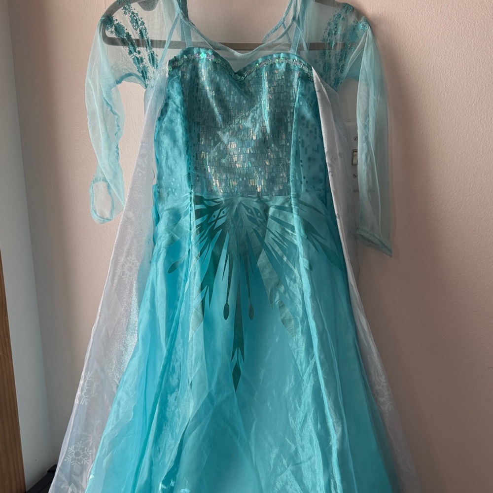 Disney’s Elsa
